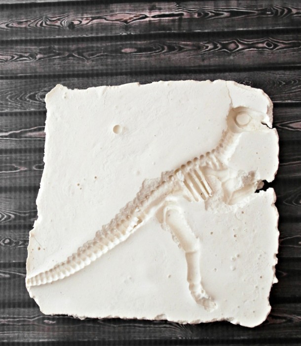 DIY Dinosaur Fossil ~ A fun kid's craft!