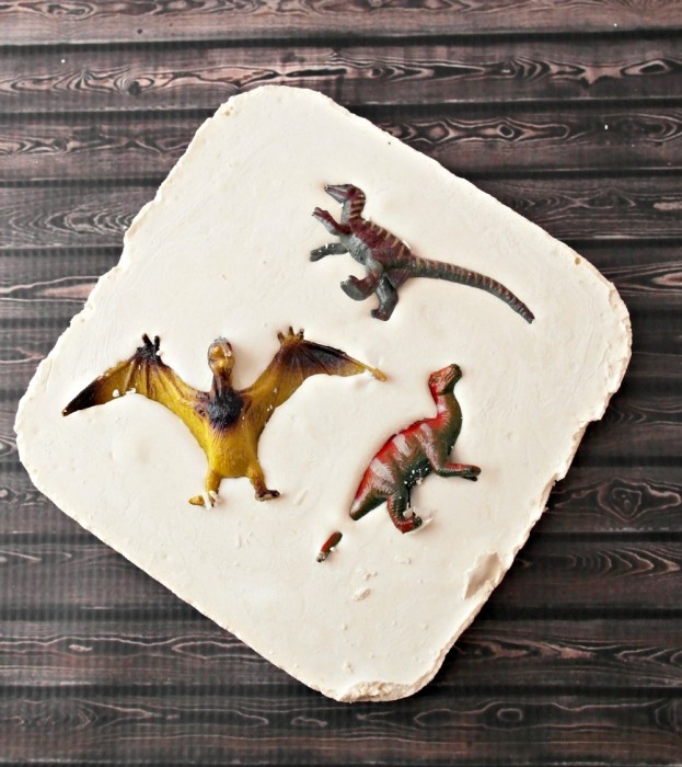 How to make a dinosaur fossil with plaster of paris and water