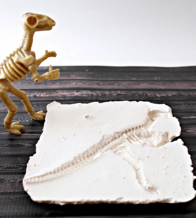 How to make a dinosaur fossil