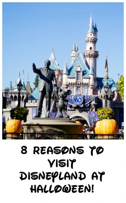 8 Reasons to Visit Disneyland at Halloween Time!