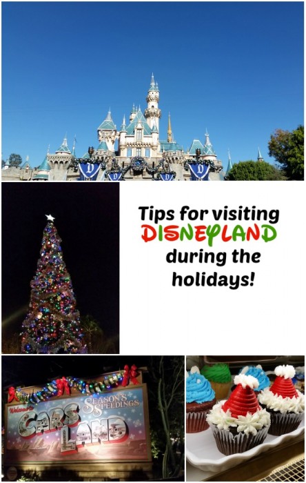Disneyland Holiday Tips ~ Make sure your trip to the happiest place on earth is enjoyable for everyone. Tips for avoiding crowds, where to go for quiet times and more!