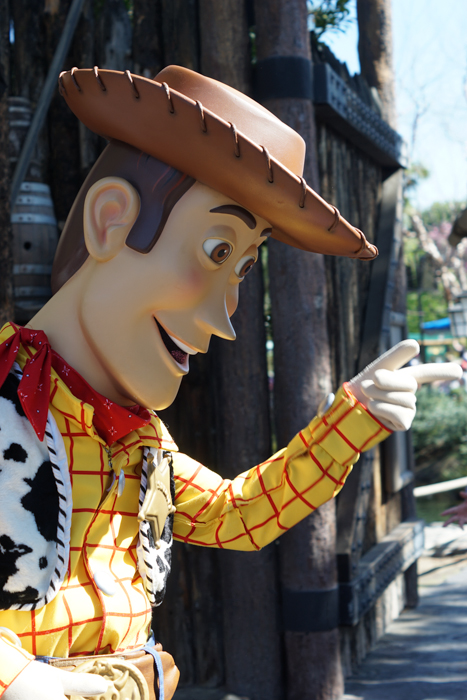 Woody at Disneyland
