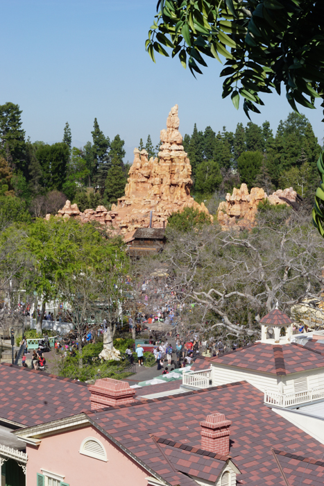 Disneyland Tarzan Treehouse