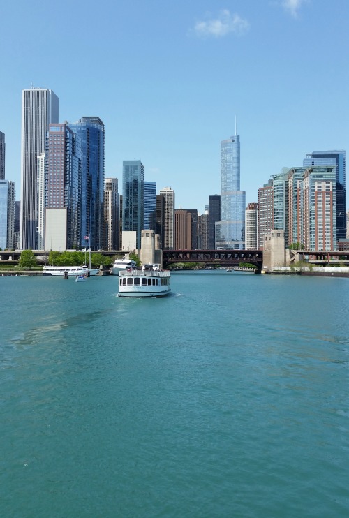 20 things to do in Chicago