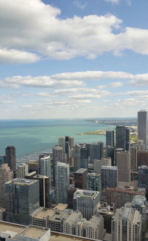 Visit Chicago in 24 hours